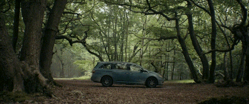 a car is parked in the middle of the woods
