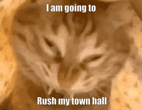 a cat with the words i am going to rush my town hall on it