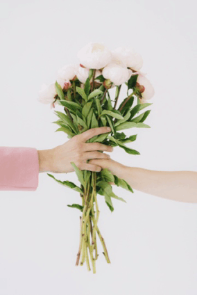 Flowers Accept GIF - Flowers Accept For You GIFs