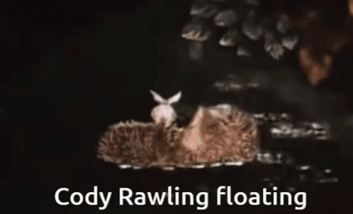 Cody Rawling Hedgehog In The Fog GIF - Cody Rawling Hedgehog In The Fog Swimming GIFs