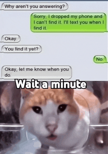 a cat is looking at a text message that says " wait a minute "