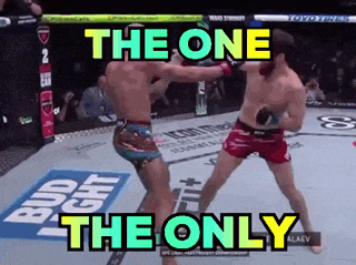 two men are fighting in a boxing ring with the words " the one the only " on the bottom