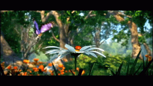 Estranha Magia Strange Magic GIF - Estranha Magia Strange Magic Butterfly GIFs