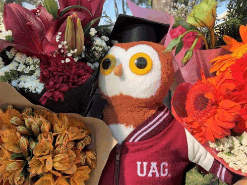 a stuffed owl wearing a maroon uag jacket is surrounded by bouquets of flowers