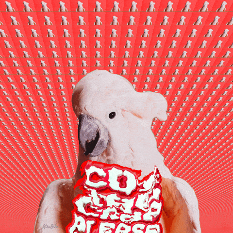 a white cockatoo is holding a piece of cake that says " cow steak please "