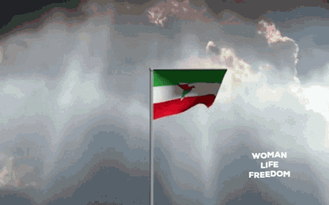 a woman 's life freedom poster with a flag in the foreground