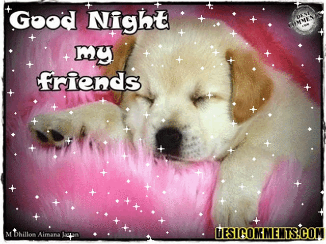 a puppy is sleeping on a pink blanket with the words good night my friends