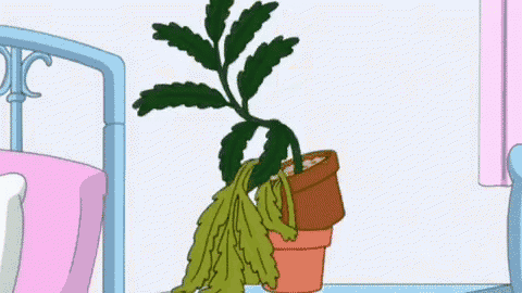 a cartoon of a plant growing out of a pot on a table .