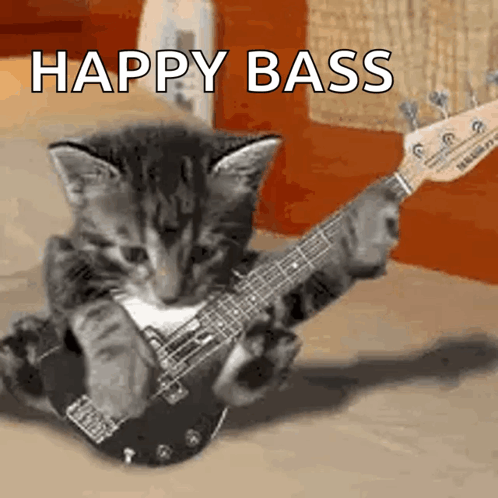 2seokerrr Cat GIF - 2seokerrr Cat Guitar GIFs