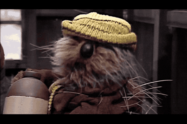 a rat wearing a yellow knitted hat looks at the camera