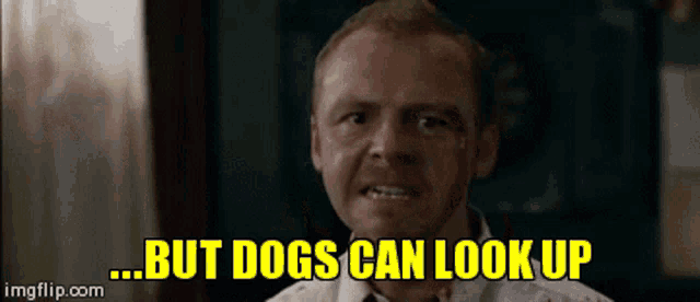 a man says " but dogs can look up " in a gif