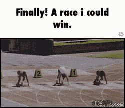 Race Race I Could Win GIF - Race Race I Could Win GIFs