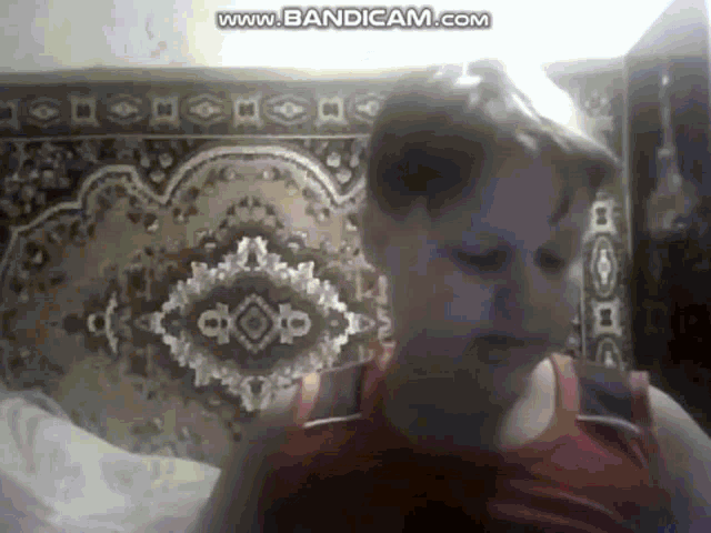 a man is sitting in front of a rug with the words www.bandicam.com on the bottom of the screen .