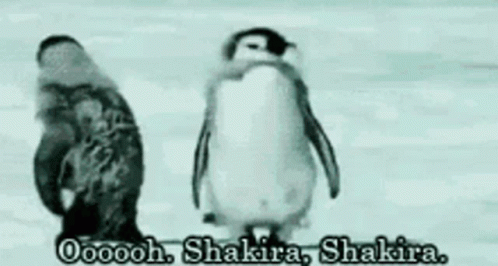 Penguin Shimmy GIF - Penguin Shimmy Shakira Shakira GIFs
