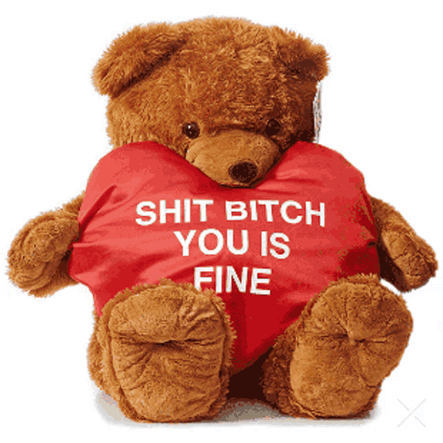 a teddy bear with a red heart that says shit bitch you is fine