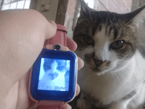 a person is holding a watch with a picture of a cat on the screen