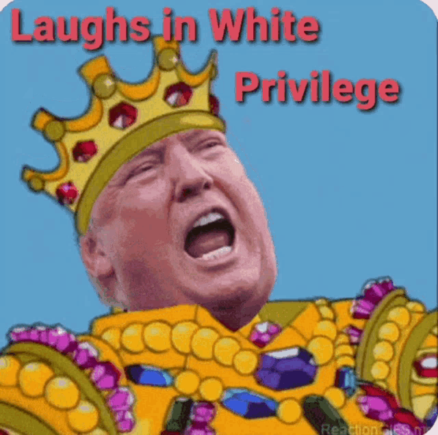 White Privilege Laughs In White Privilege GIF - White Privilege Laughs In White Privilege Laughs In GIFs