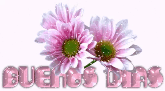 a picture of pink flowers with the words buenos dias in pink letters