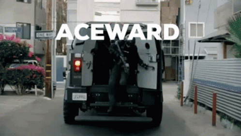 Aceward Police GIF - Aceward Police Fbi GIFs