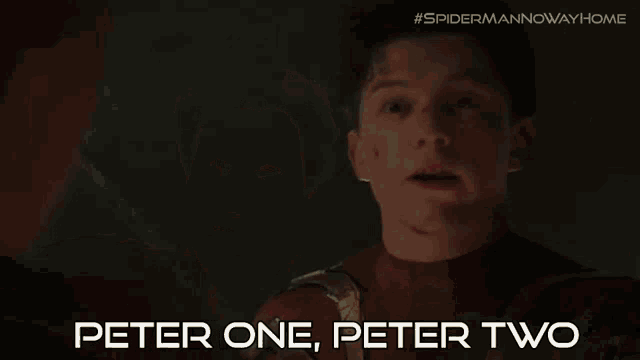 Peter1peter2peter3 Spider Man GIF - Peter1peter2peter3 Spider Man Peter Parker GIFs