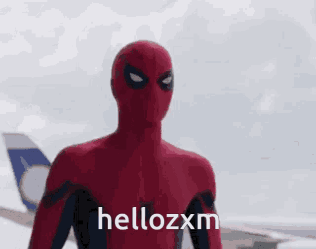a close up of a person in a spiderman suit with the words hellozxm written on it .