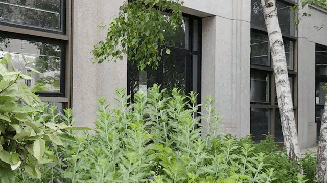 Hugo Mathy Thumbs Up GIF