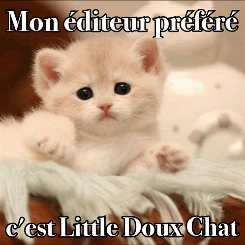 a picture of a kitten with the caption mon editeur prefere c ' est little doux chat