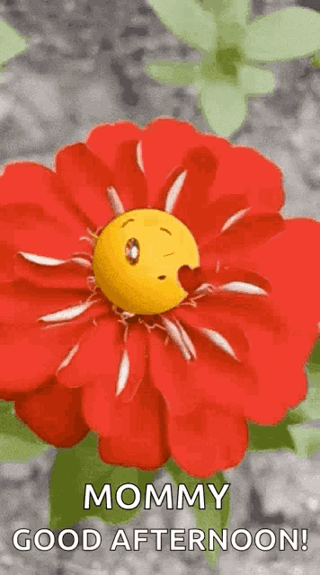 a red flower with a yellow smiley face on it and the words `` mommy good afternoon '' .