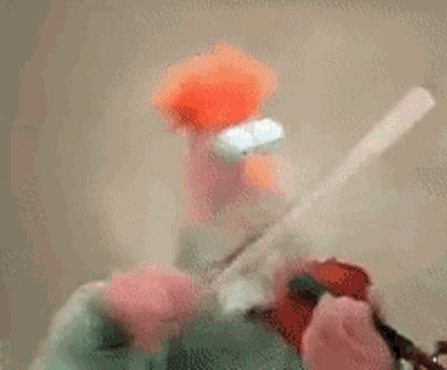 Muppets Benestad GIF - Muppets Benestad Alvesta GIFs
