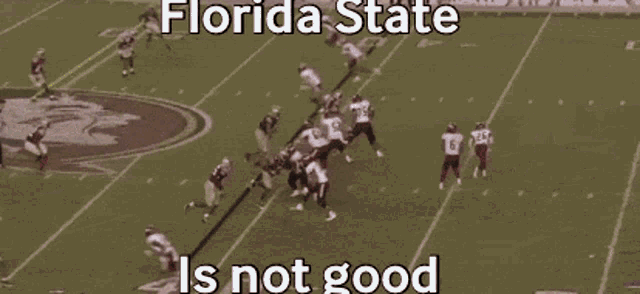 Fsu Is Not Good Florida State GIF - Fsu Is Not Good Florida State Fsu Bad GIFs