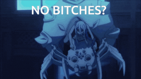 a picture of a spider with the words " no bitches " written above it