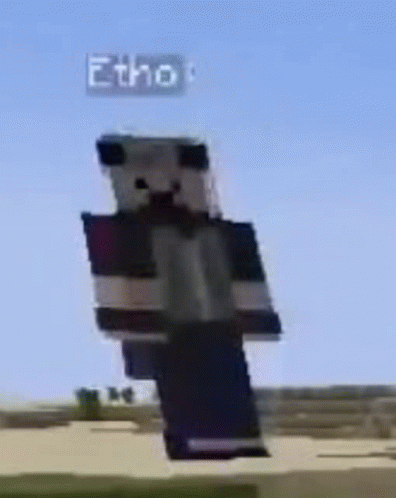 Etho Ethoslab GIF - Etho Ethoslab GIFs