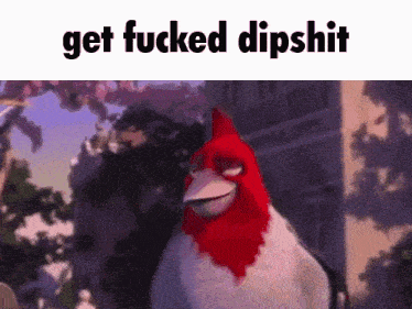 a picture of a chicken with the words get fucked dipshit on it