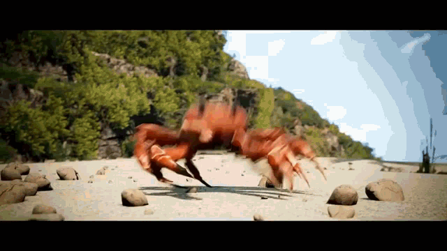 Discharged Disco GIF - Discharged Disco Crab Rave GIFs