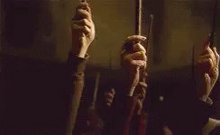 Wands Up GIF - Wands Up Harry Potter GIFs