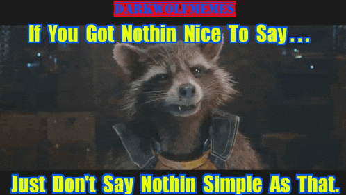 a picture of a raccoon with a caption that says if you got nothin nice to say just don 't say nothin simple as that