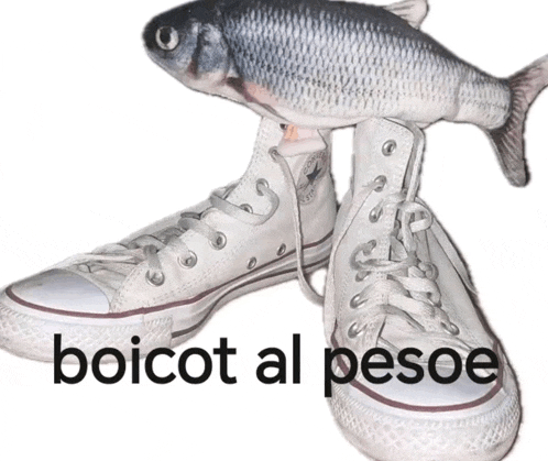 a pair of white converse shoes with a fish on top and the words boicot al pesoe below them