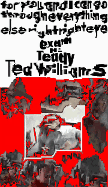 a poster for ted williams with a picture of a monkey