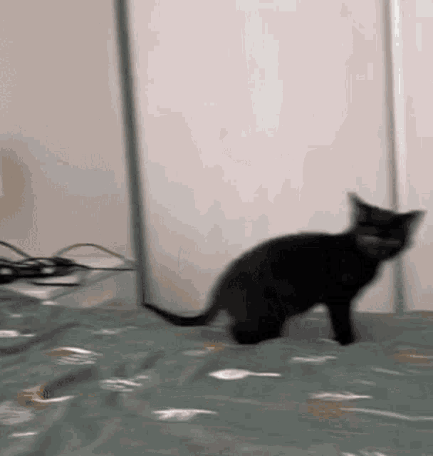 a black cat is walking across a bed with a green blanket .