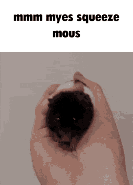 a person is holding a small black and white mouse in their hand with a caption that says mmmm myes squeeze mous