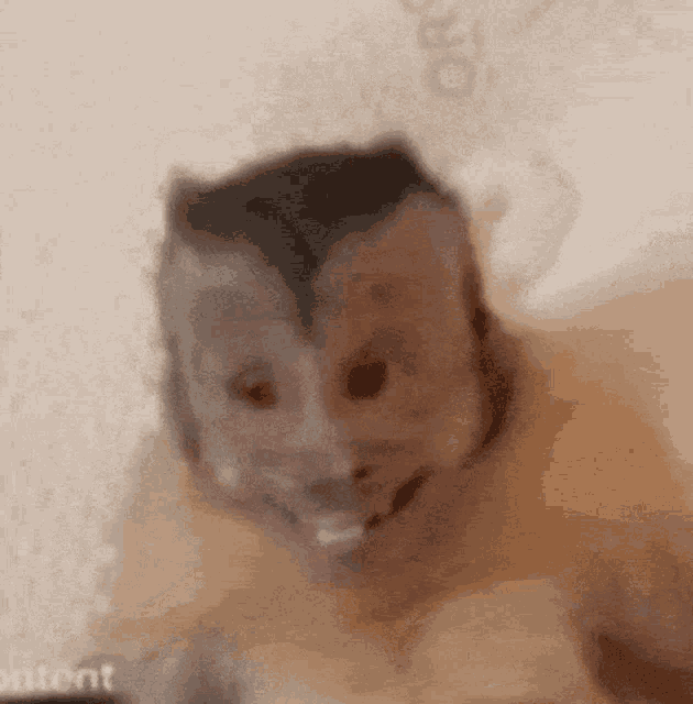 a close up of a monkey with a smiley face on its face