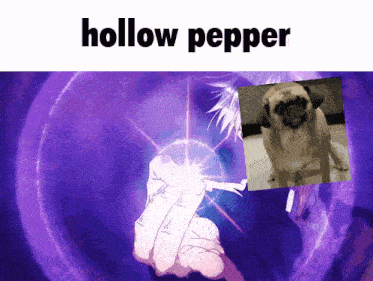a purple background with a picture of a dog and the words hollow pepper
