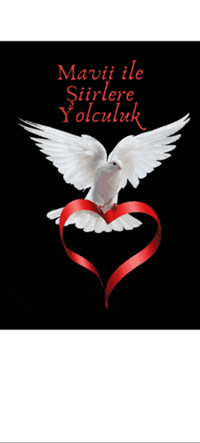 a white dove with a red ribbon around its neck and the words " mavi ile sirlere yolculuk " on the bottom