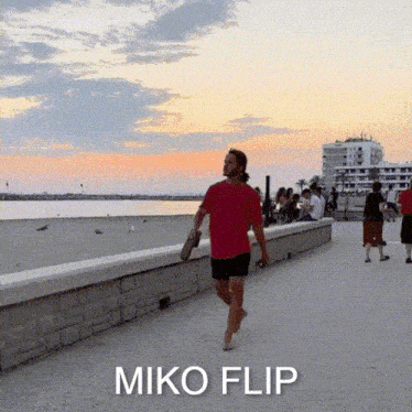 Miko Flip GIF - Miko Flip переобувка GIFs