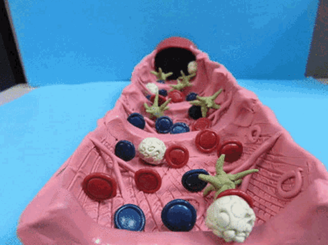 a model of a stomach with a lot of buttons