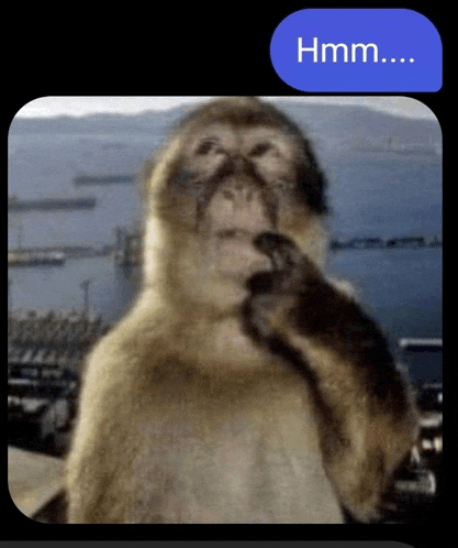 a picture of a monkey with the word hmm on the bottom right