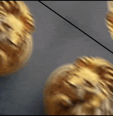 a blurry picture of a lion 's head on a table