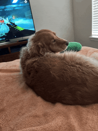 a dog is laying on a blanket in front of a tv that says ' xbox one ' on it