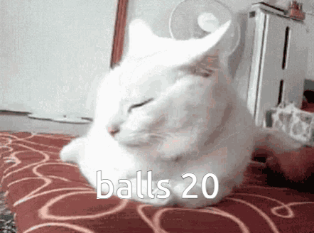 Balls 20 Balls Twenty GIF - Balls 20 Balls Twenty Balls GIFs