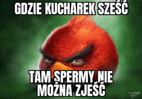a picture of an angry bird with a caption in a foreign language